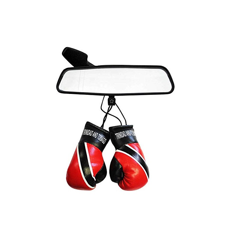 Trinidad Flag Mini Boxing Gloves
