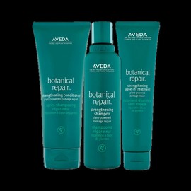Aveda Botanical Repair Trio Bundle w/ Leave In Treatment