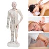 Human Body Acupuncture Model Professional Portable Meridian Points Model for