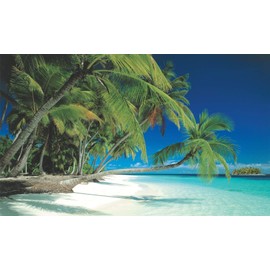 Biggies-Wall Murals-Beach 54"x27"