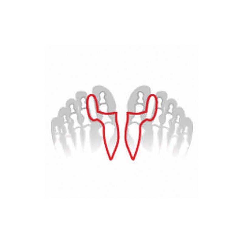 FußGut Hallux Corrector Pair