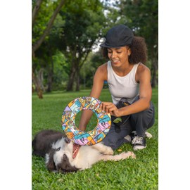 OllyDog Super Flyer | Durable Dog Frisbee | Soft & Lightweight Flying Disc | Gentle on Teeth & Gums | Water-Resistant Outdoor Toy (Cloud9)