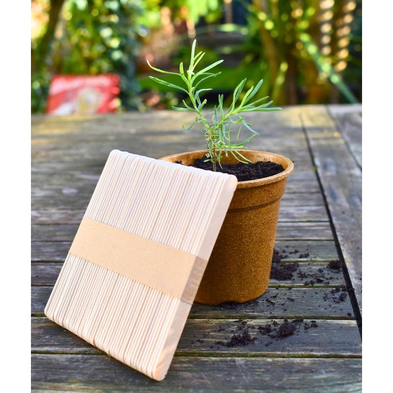 Nutley's Biodegradable Seedling Labels Plant Markers (Pack of 500)