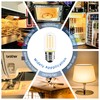 NOVELUX 2.5 in E17 Intermediate Base LED Filament Bulb 360