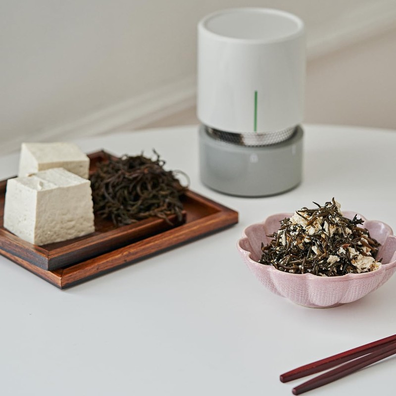 DEHYDRATOR Tofu Press - Yogurt Strainer Tofu Presser for Extra