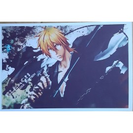 labello12012 Bleach Postcards (Matte Paper)
