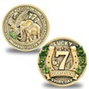 Lucky Charms Good Luck Charms Coin for Lottery Scratcher, Lucky