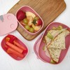 Prince Lionheart Bentomal Boxes | Cute Kids Lunch Boxes |