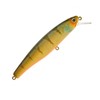 Illex Poisson Rodent Arnaud 110 F - 11 cm - 18 g - Agressive Perch - Floating - 72238