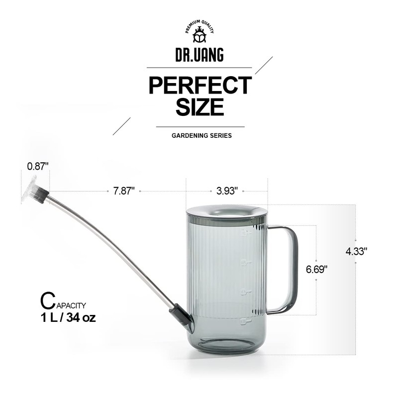 Small Watering Can Indoor Plants with Long Spout (1L, Gray)