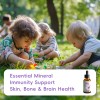 Nature's Nutra Happy Zinc, 2 Fl. Oz (60ml), Premium Baby