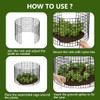 DAYUMKOU 10 Pack Metal Wire Mesh Plant Protector from Animals(12"×12")