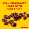 Raisinets, Milk Chocolate Covered California Raisins, Movie Theater Candy Box,