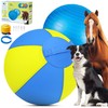 Herding Ball for Dogs and Horses - 25" Jolly Ball