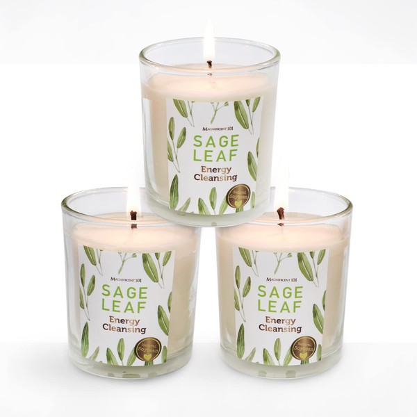 Magnificent 101 Long Lasting Set of 3 White Sage Leaf Scented Smudge Candle | 3.5 Oz Each - 42 Hour Burn | All Natural & Organic Soy Wax Candle with Essential Oils for Energy Cleansing & Manifestation