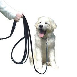 COMPANY OF ANIMALS Recall Line 5m, Best Dog Training Equipment, Soft to hold, Perfect for Recall Training, Chasing, Dog & Puppy Training & Socialisation, Suitable for Small, Medium & Large Dogs