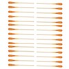 30Pcs Paint Test Swabs High Accuracy Instant Paint Test Kit