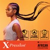 Sensationnel X-pression prestretched braiding hair - 3x braid 50 inch