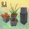 Verdonia 40 x 8cm Plastic Pots for Sowing, Transplanting, Cuttings,