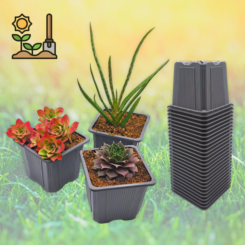 Verdonia 40 x 8cm Plastic Pots for Sowing, Transplanting, Cuttings,
