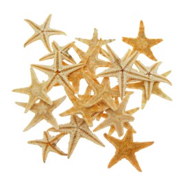 GraceAngie 100 PCS Starfish for Crafts 0.5" to 1" Natural Small Star Starfish for Wedding Beach Theme Decor Home DIY Crafts Decor