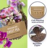 Sweet Pea Seeds Heirloom Mix - Bulk 1 Ounce Packet