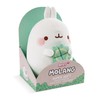 NICI Molang 48874 Cuddly Toy with Clover Leaf 16 cm