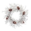 Melrose Iced Branch with Pinecone Artificial Christmas Wreath, 24-Inch, Unlit