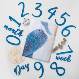 Miaoberry Ocean Baby Milestone Blanket – Monthly Baby Milestone Photo Prop for Boy, Under The Sea Growth Tracker Blanket with Hello World Sign and Registry Must-Have