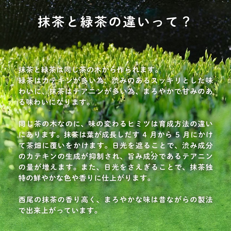LOHAStyle Matcha Green Tea Additive-Free Nishio Aichi 100g Japan