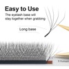 COZBIRD Eyelash Extensions, 5D W Volume Eyelashes, Ready-to-Use Fan Eyelash