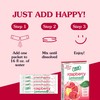 True Lemon Raspberry Lemonade 30 ct
