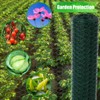 Chicken Wire Mesh Roll, 40cm x 5m Hexagonal Garden Netting