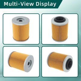 AUTOKAY 0800-011300 Engine Oil Filter Fits for CF Moto Cforce Zforce Uforce 400 500 800 950 1000cc - 2 Pcs