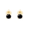 IGI Certified Round Brilliant Cut Black Diamond Screw Back Stud
