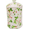 Royal Arden Sanitary Box Corner Pot Strawberry 39273