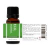 ECO. Modern Essentials Eucalyptus Pure Essential Oil, 10ml