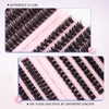 Oreola Cluster Eyelashes, 80D, 100D, Individual Eyelashes, D Curl, False