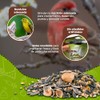 MEZCLA DE SEMILLAS P/LOROS Y CACATUAS 500 G