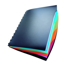 Durable Duralook Style Display Book with 20 Removable Pockets and 4 Part Index, A4