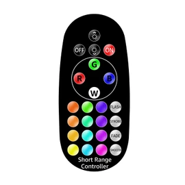 SUNVIE RGBW Landscape Lights Remote Control Color Changing Landscape Lights Remote Controller for Low Voltage Landscape Lights Outdoor Spotlight