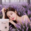 Domestic Macmundong Powder Macmundong Extract Powder 100% 200g / 국산