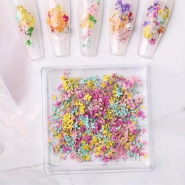 Dried Flowers for Nails Tip-1Box 3D Dried Flower Nail Stickers Charms Natural Flower Mix Dry Colorful Decals for Nails Art Resin Spring Small Floral Nail Design DIY Craft Manicure Accessories Supplies