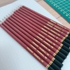 Juego de 12 Lápices de Grafito para Dibujo Artístico Profesional,
