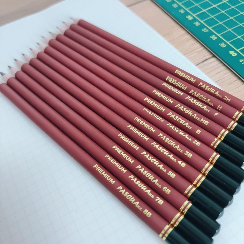 Juego de 12 Lápices de Grafito para Dibujo Artístico Profesional,