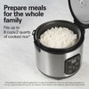 Hamilton Beach Digital Programmable Rice Cooker & Food Steamer, 8