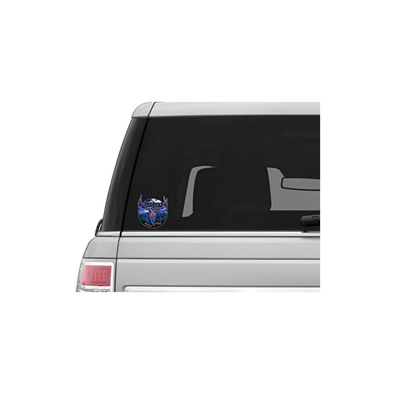 Vinyl Junkie Graphics Locked and Loaded Sticker/Decal