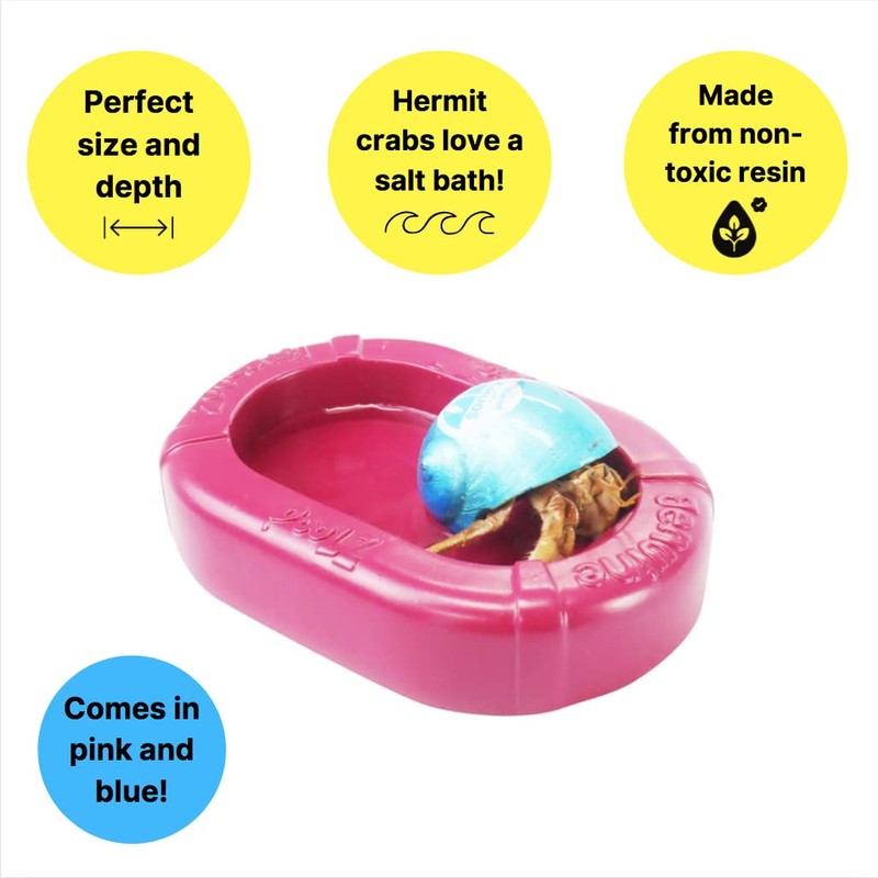 KRABOOZ Khud's Salt Poolz