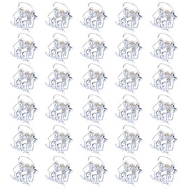 30Pcs Mini Hair Clips, Plastic Hair Claws Small Hair Claw Clips Clamps Non Slip Hair Claws Pins Clamps Hair Accessories for Girls and Women(Clear)…
