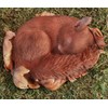 Vivid Arts Sleeping Baby Red Squirrel in Leaf | Resin